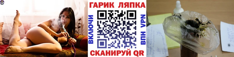 Альфа ПВП Ачхой-Мартан
