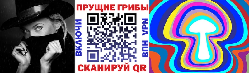 Галлюциногенные грибы прущие грибы  Купить закладки  Ачхой-Мартан 