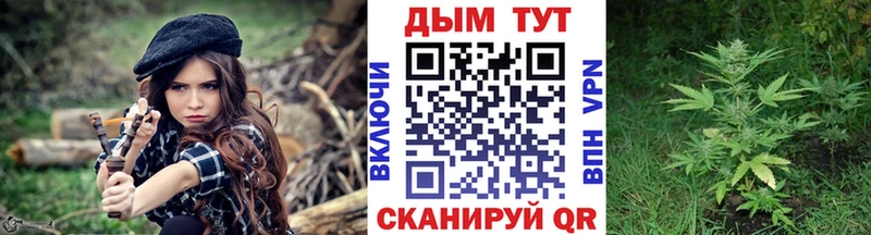 Купить закладки  Ачхой-Мартан  Бошки Шишки Ganja 